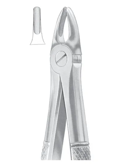 1033 Fig. 37 upper incisors for children 